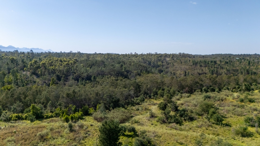 Commercial Property for Sale in Plettenberg Bay Rural Western Cape